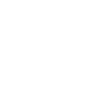 Elektriciteitswerken